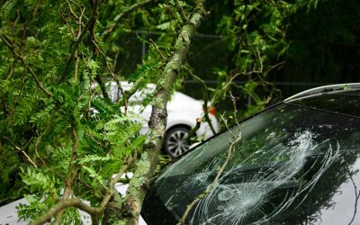 Choose EA Collision for Your Replacement Windshield in San Diego